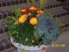 container garden 14